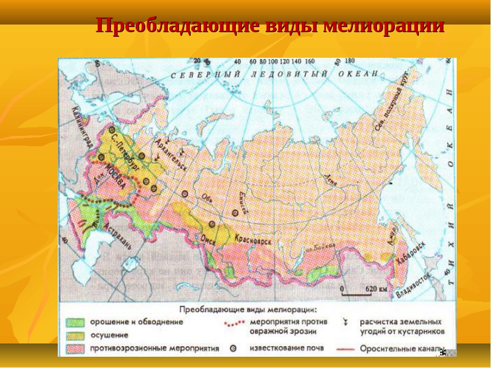 Преобладающий вид. Преобладающие виды мелиорации. Карта мелиорации земель в России. Мелиорация почв России. Виды мелиорации почв.