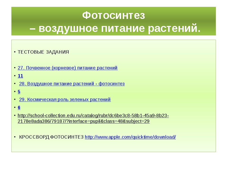 Проект фотосинтез 6 класс по биологии