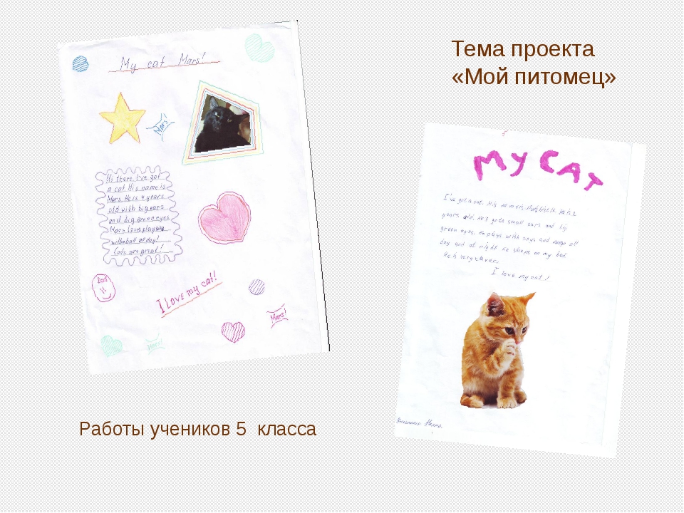 Разработка урока по теме "My pet"