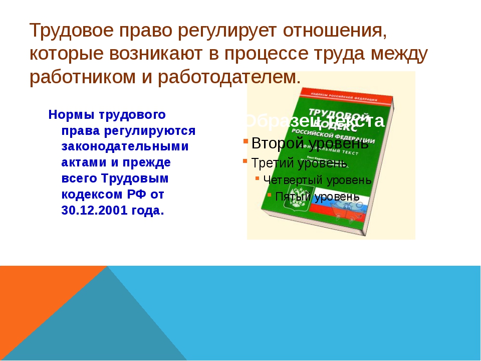 Презентация обществознание трудовое право