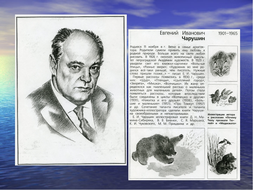 Михалкова васнецова. Чарушин Волчишко кроссворд. Основная мысль рассказа Волчишко Чарушина. Евгений Чарушин большие и маленькие писать. Волчишко Чарушин план рассказа.