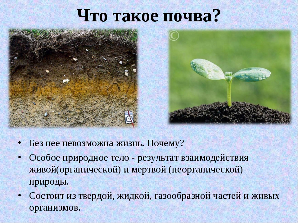 Газообразная почва. Газообразная часть почвы. Почва особое природное тело. Твердая жидкая и газообразная часть почвы. Почва это особое природное.
