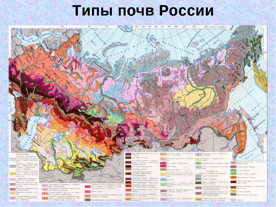 Типы грантов в россии