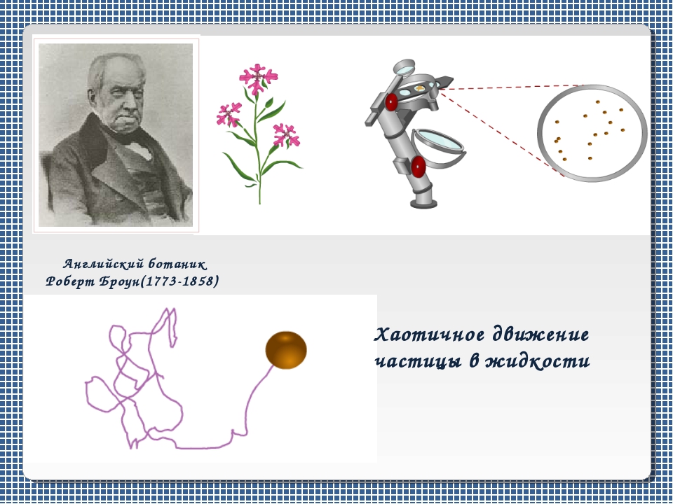 Броуновское движение физика 7 класс тест. Броуновское движение физика 7 класс тест