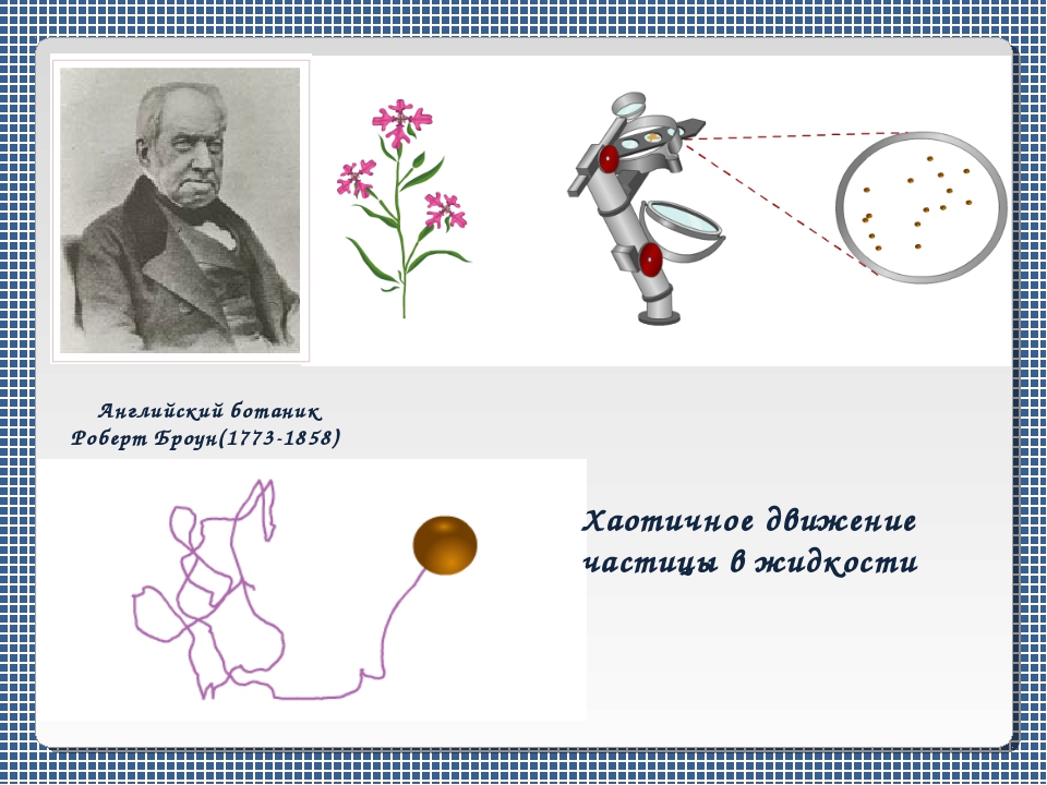 Броуновская частица массой 10 15. Броуновское движение диффузия опорный конспект. Броуновское движение презентация по естествознанию 5 класс. Броуновское движение рисунок физика 7 класс.