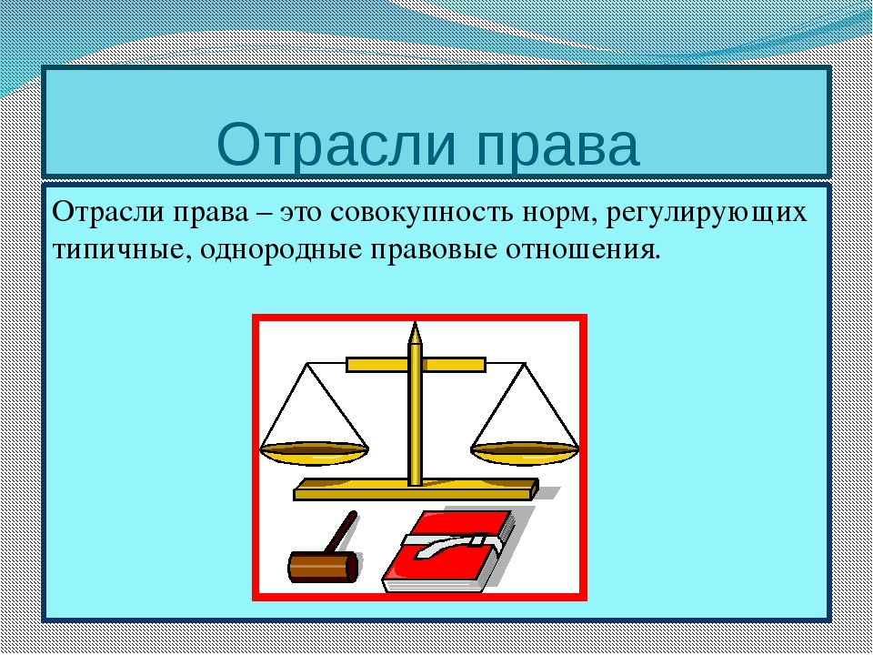 Норма права система права обществознание презентация