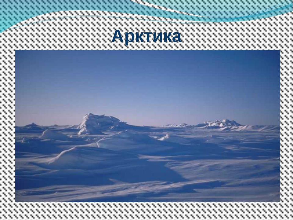 Название зоны арктических пустынь. Арктические пустыни презентация. Проект зона арктических пустынь. Арктические пустыни 4 класс окружающий мир. Проект по географии зона арктических пустынь.