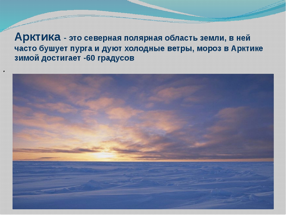 Арктический пояс осадки. Полярные области Арктики. Северная Полярная область земли. Ледяная зона 4 класс ПНШ. Сколько градусов зимой в арктических пустынях.