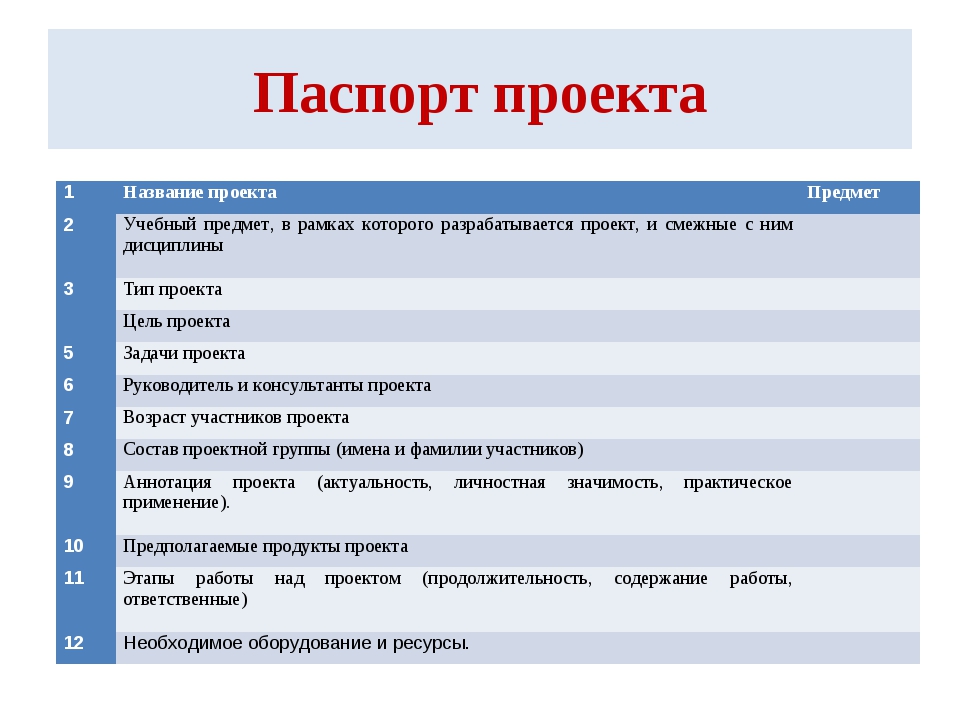 Что надо писать в паспорте проекта