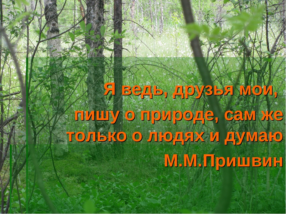 Пришвин природа. Цитаты Михаила Пришвина. Этажи леса пришвин. Цитаты про природу.
