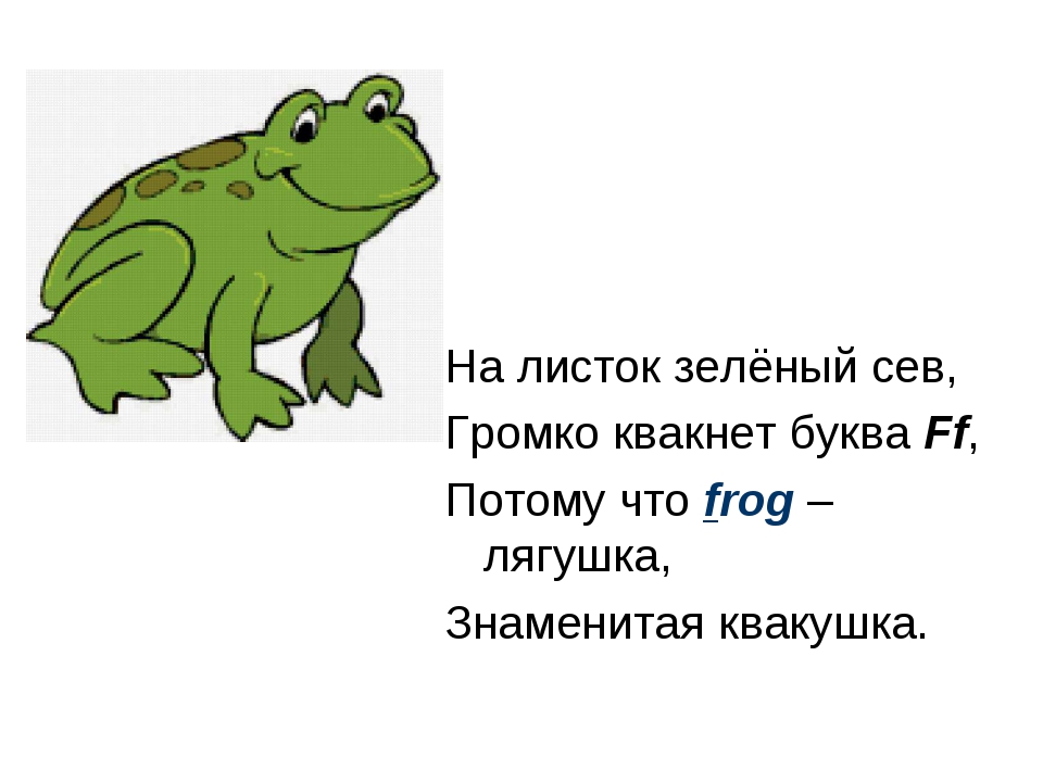 Лягушка перевод на английский. Лягушка по английскому. Английский язык стихотворение про лягушку. Жаба на английском языке. На листок зеленый Сев.