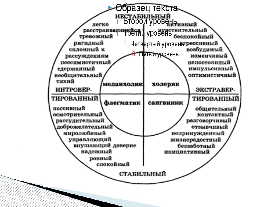 Презентация на тему темперамент по психологии