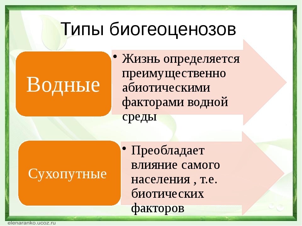 Многообразие биогеоценозов презентация