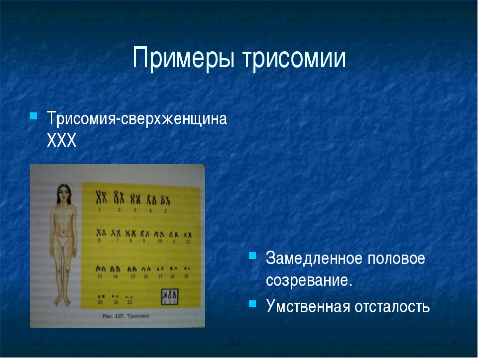 Методы изучения генетики человека презентация 10 класс профильный уровень