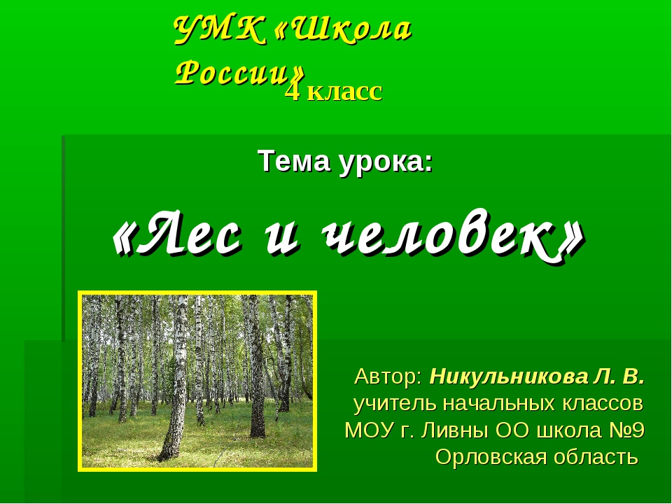 Рассказы н и сладкова лес не школа а всему учит презентация