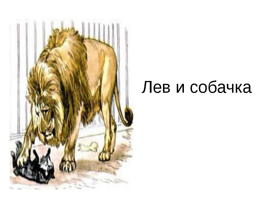 Рассказ льва толстого лев и собачка. Лев и собачка встреча. Басня Лев и собачка. Толстой Лев и собака читать. Картинки к сказке Лев и собачка.