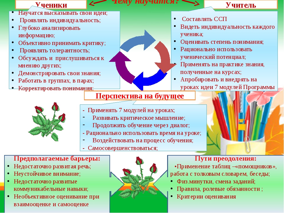 Учащиеся на уроке последовательно подвешивали