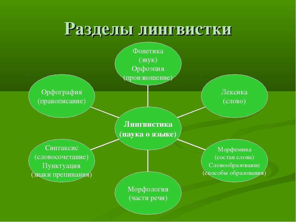 Наука о языке слова. Разделы языкознания в русском языке. Разделы лингвистики в русском языке. Разделы лингвистики схема. Разделы лингвистики 5 класс русский язык.