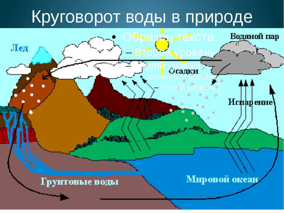 Схема круговорота мирового круговорота воды