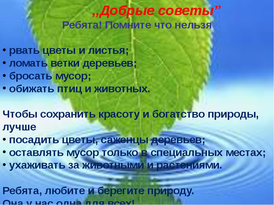 Презентация для дошкольников на тему берегите природу