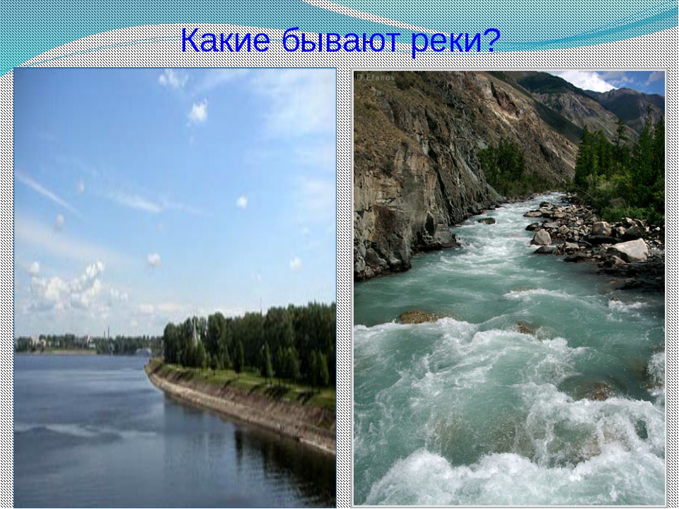 Река волга енисей. Реки России Бия, Катунь, Кубань, Терек. Река Лена Терек. Терек Горная или равнинная река. Енисей Горная или равнинная река.