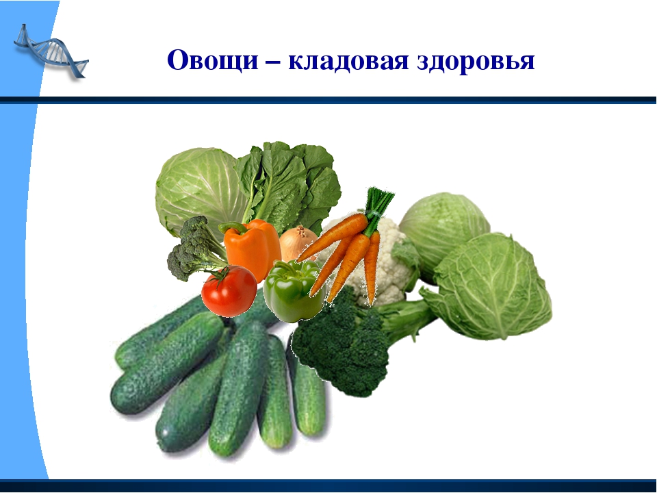 Наше питание 3 класс окружающий мир. Овощи кладовая здоровья. Консультация для родителей овощи-кладовая здоровья. Рисунок овощи и фрукты кладовая здоровья красивый. Кладовая здоровья картинки.