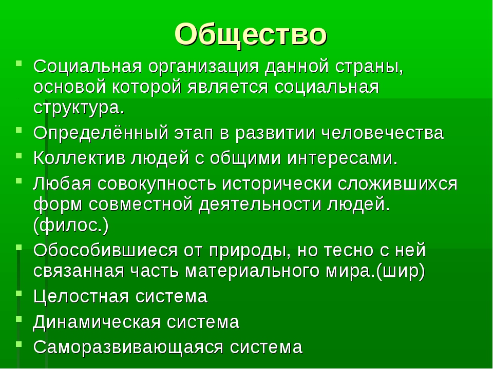 Учреждение общества. Социальная организация общества. Общество это социальная организация страны. Организация это в обществознании. Община (социальная организация).