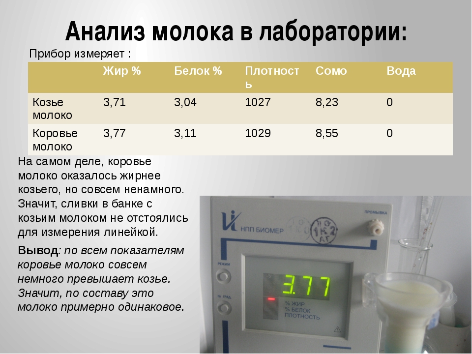 Анализ молока проект