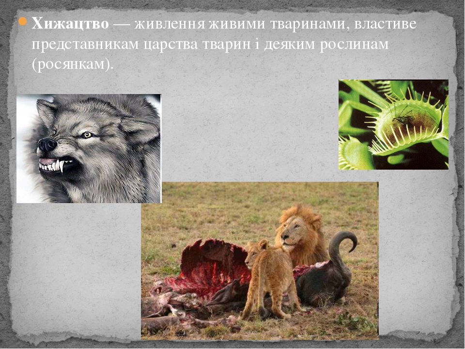 �������� � ������ ���� - 14