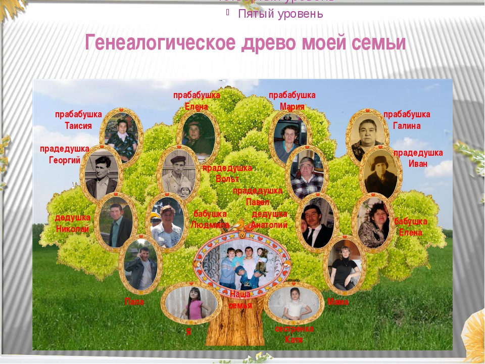 История моей семьи образец. Древо семьи. Генеалогическое дерево. Проект генеалогическое Древо моей семьи. Генетическое дерево семьи.
