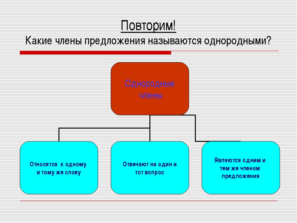 Презентация однородные члены