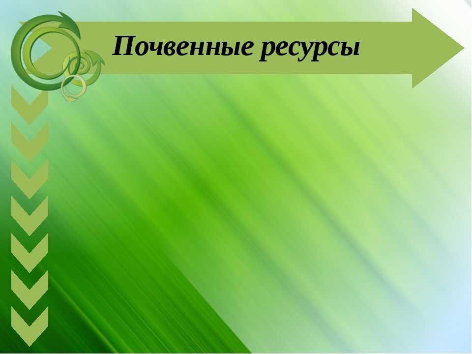 Индивидуальные воспитательные задачи