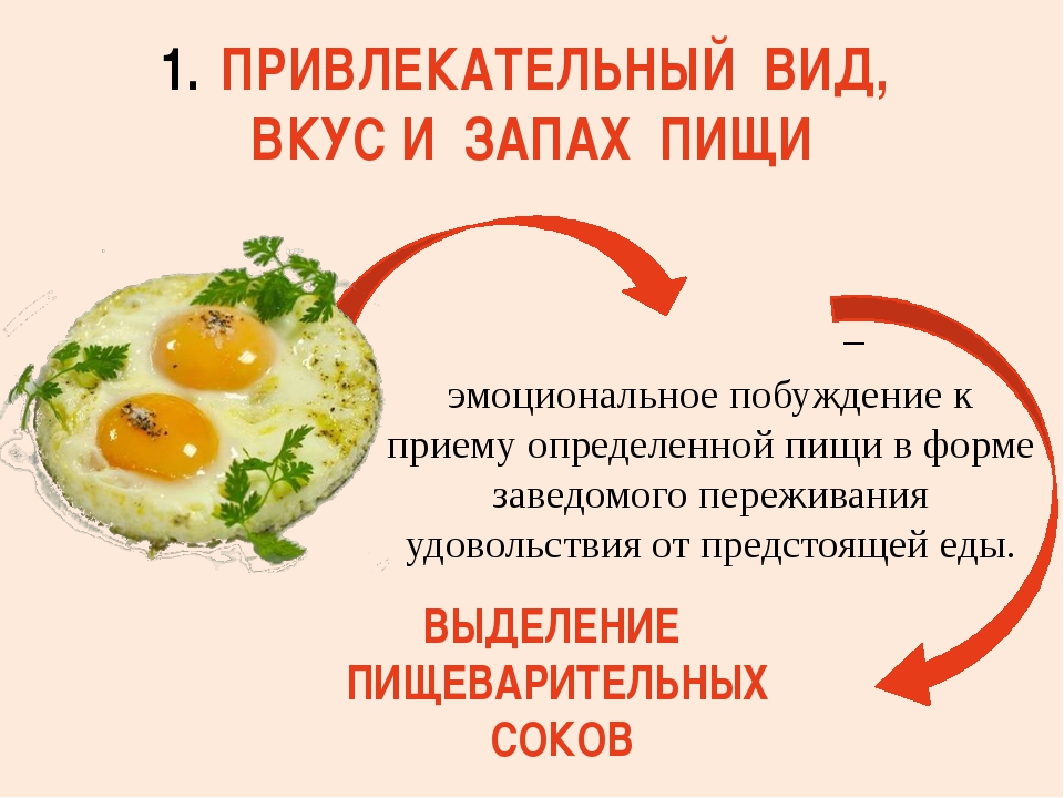 Гигиена питания презентация