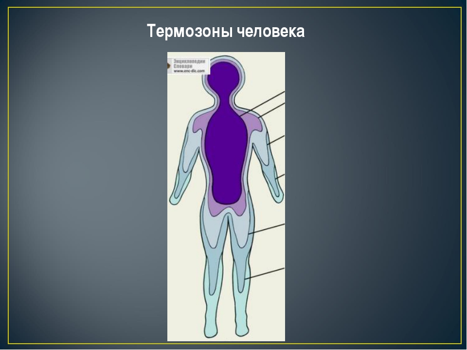 Нарушение терморегуляции презентация