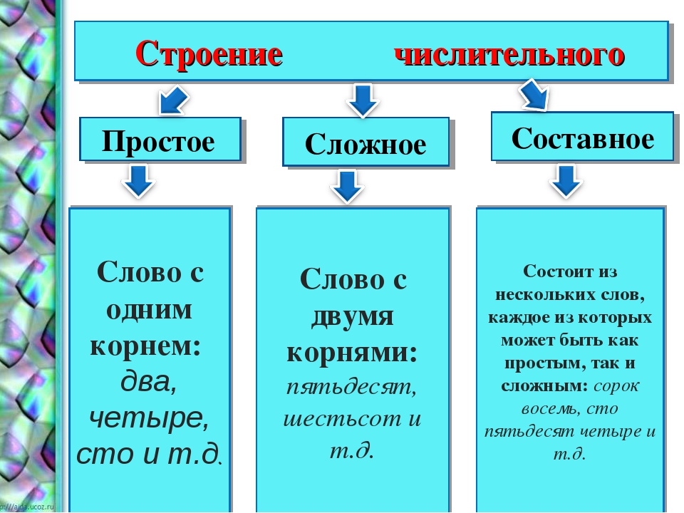 Дробные и собирательные числительные 6 класс презентация