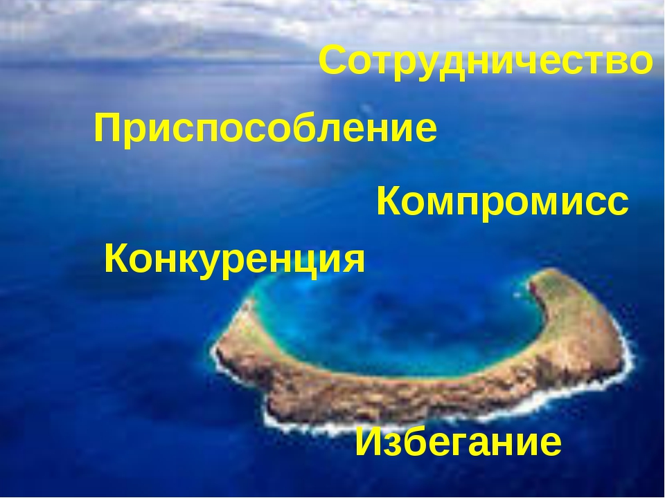 Установите соответствие между картинкой и определением избегание сотрудничество компромисс