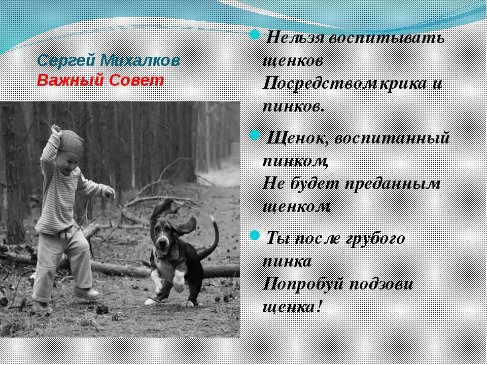 В лунин никого не обижай с михалков важный совет д хармс храбрый еж презентация