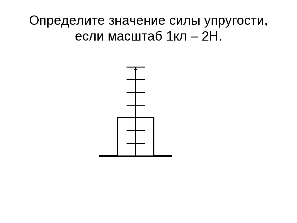 Под силу значение. Смысл силы упругости. Найди величину силы упругости.