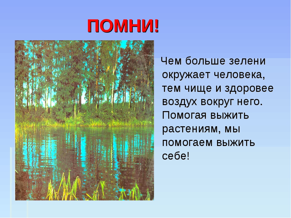 Готовый проект на тему экология 7 класс