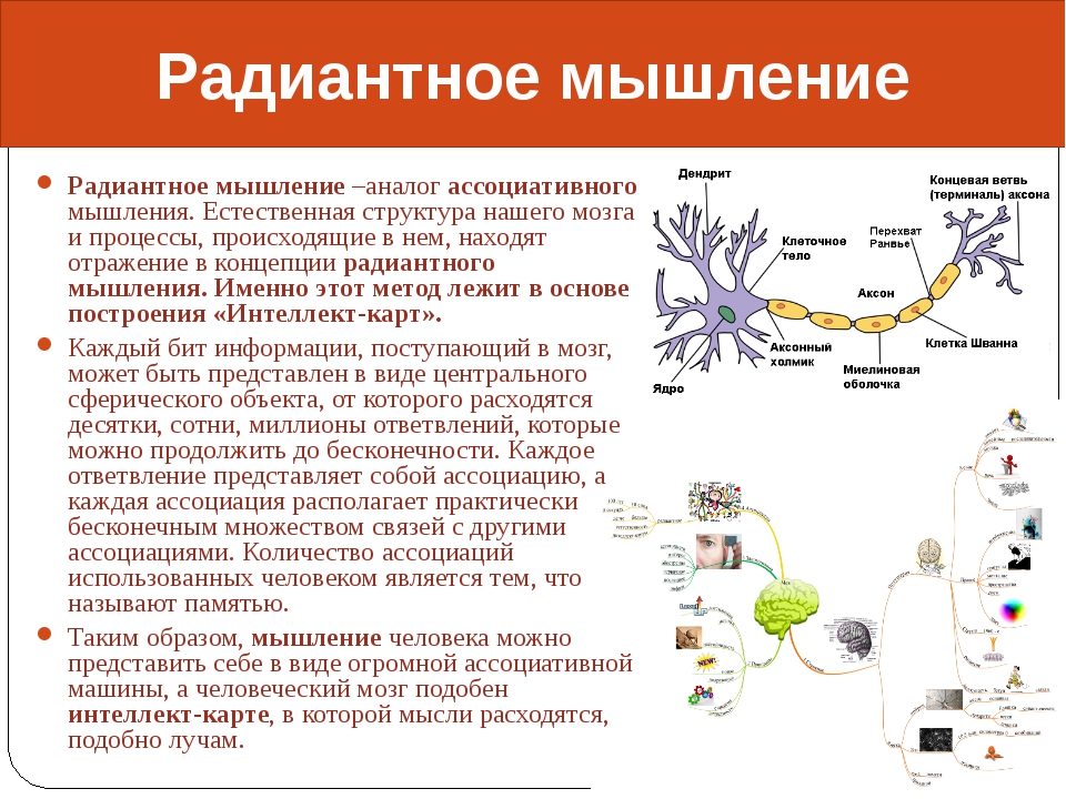 Радиантная структура проекта это