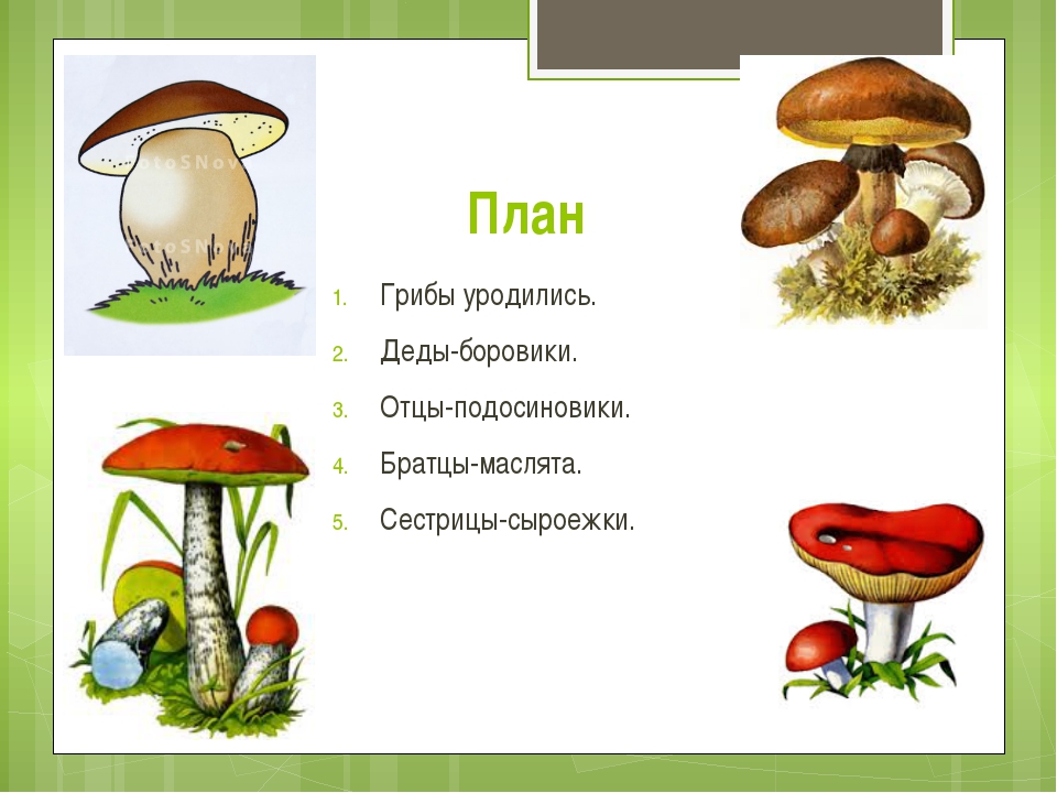 Сутеев чей же гриб презентация 1 класс