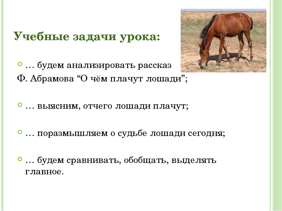 Рассказ о чем плачут лошади краткий пересказ. О чём плачут лошади. Абрамова о чем плачут лошади. План рассказа о чем плачут лошади. План о чем плачут лошади.