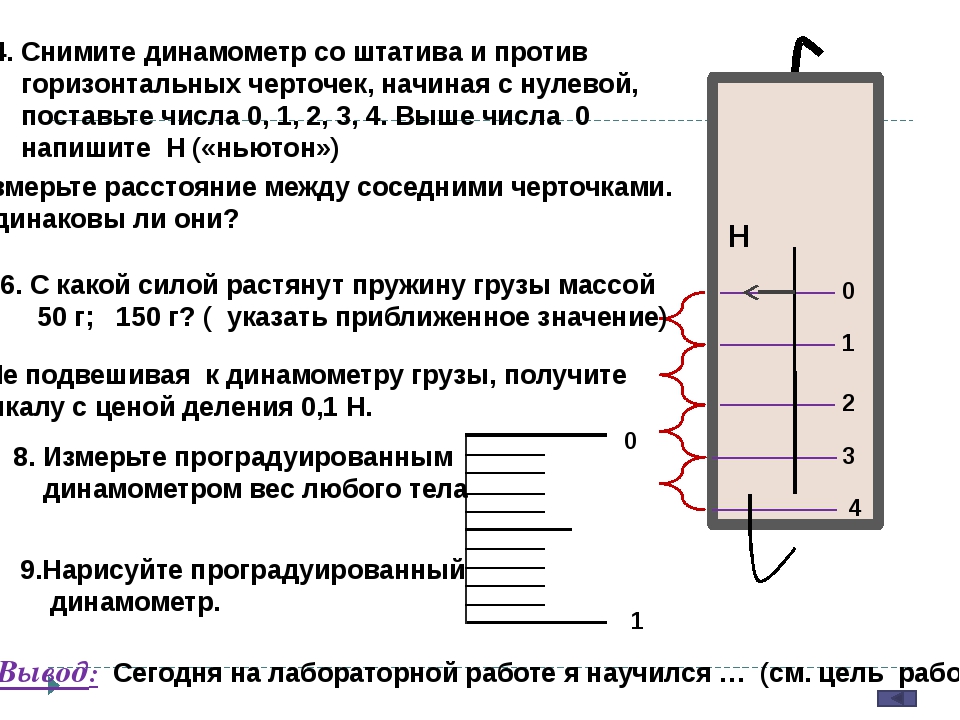 Проградуированный динамометр рисунок