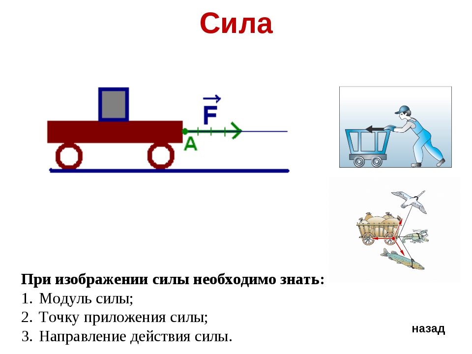 Рисунок силы физика. Сила векторное изображение. Направление действия силы. Точка приложения силы физика. Точки приложения сил в физике.