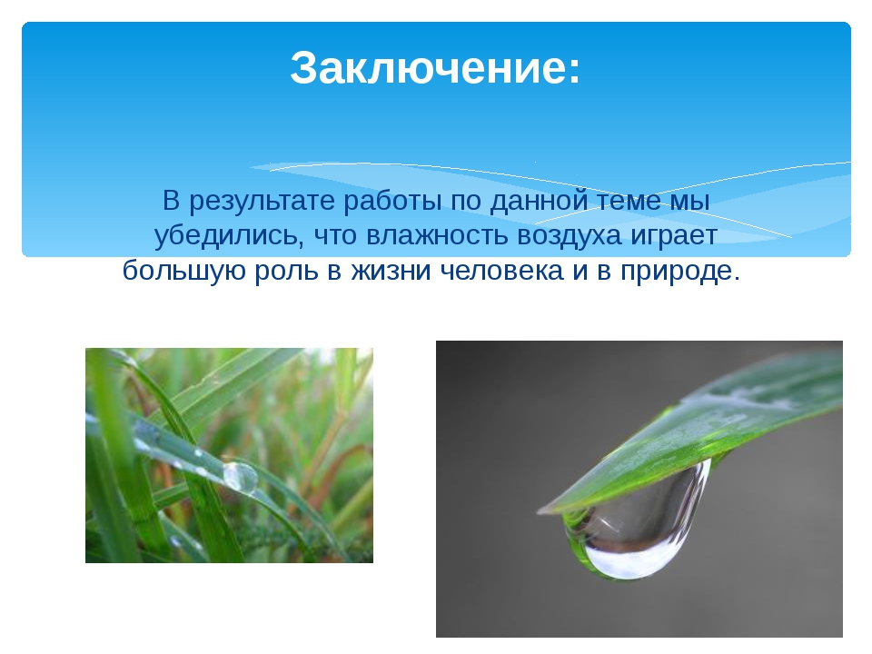 Влажность воздуха в природе. Влияние влажности воздуха на здоровье человека. Влажность воздуха и ее влияние. Роль влажности в природе. Проект влажность воздуха.