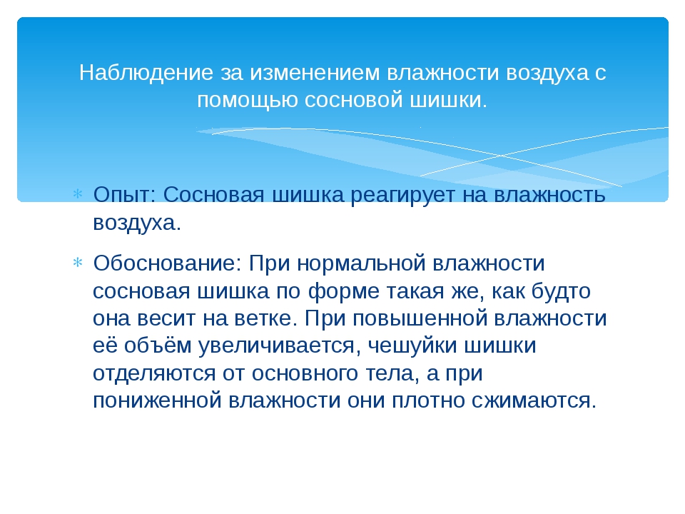 Низкая влажность воздуха. Влажность воздуха эксперименты. Опыты по теме влажность воздуха. Шишка при пониженной влажности воздуха. Вопросы по теме влажность воздуха.