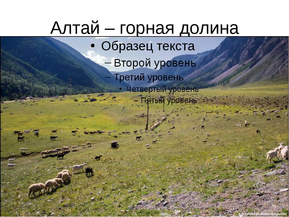 Горный каркас россии урал и горы южной сибири 8 класс презентация