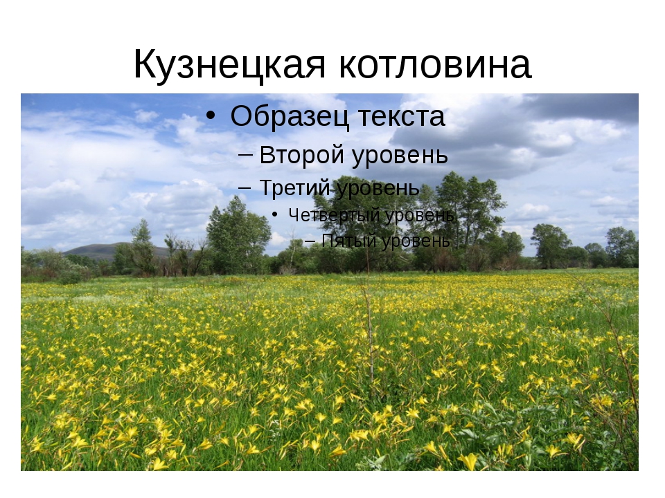 Кузнецкая котловина фото