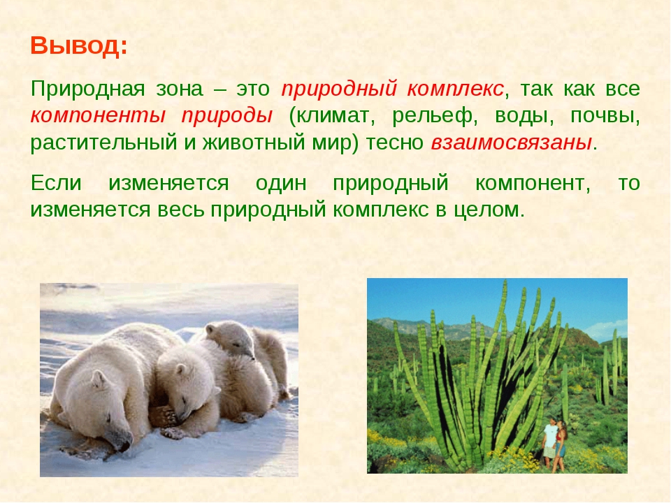 Что влияет на формирование природных зон. Природные зоны. Животные природных зон. Вывод растительный и животный мир России. Природные зоны растительный и животный мир.