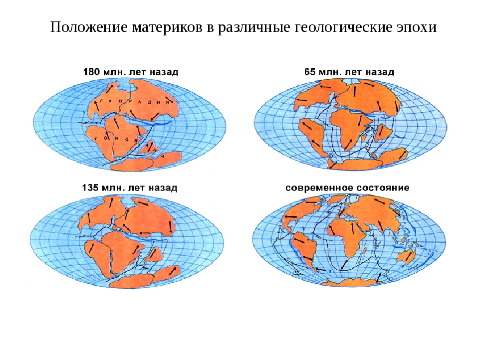 Расположение материков карта мира